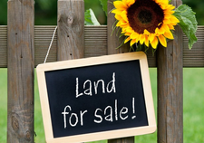 Conveyancing / Land Dispute